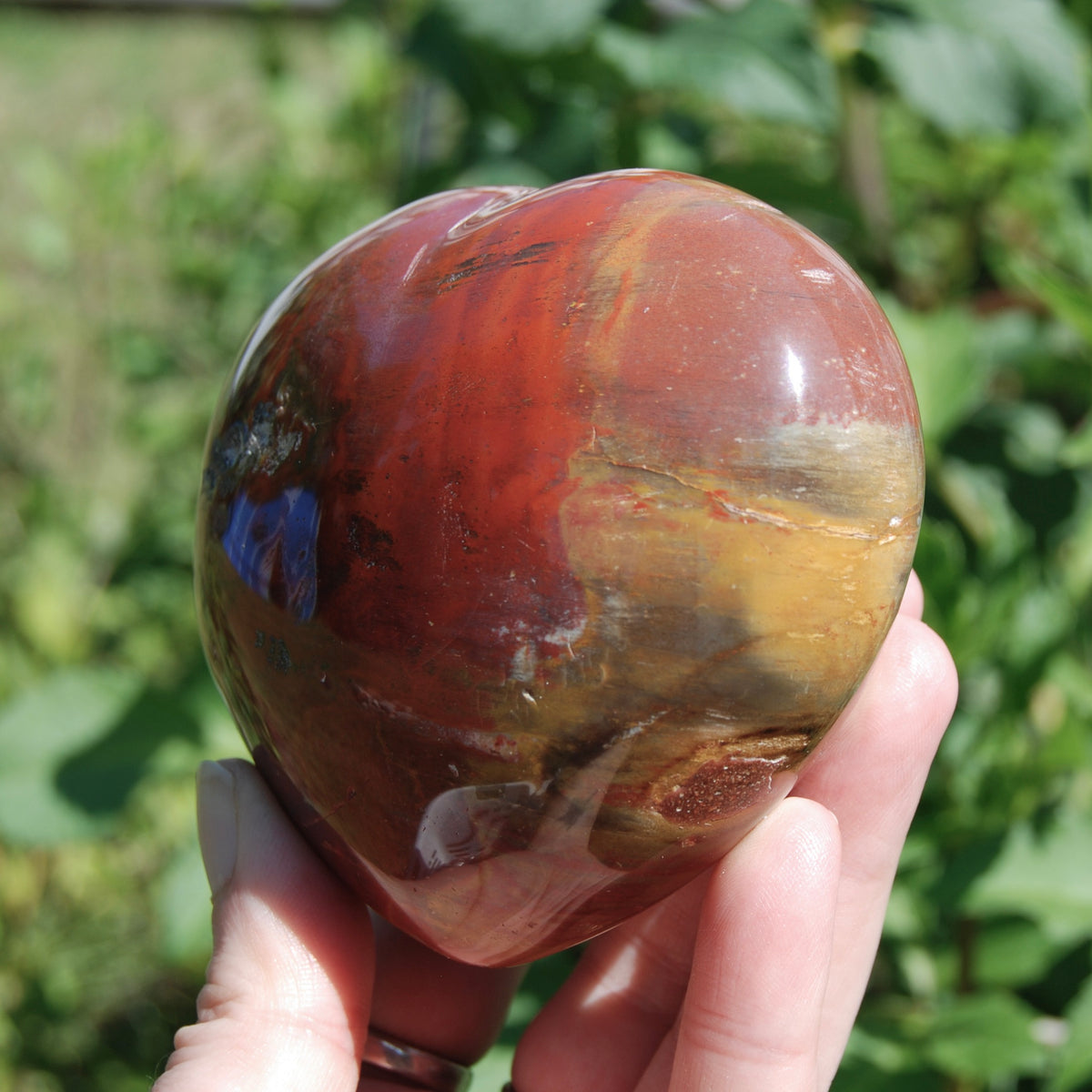 Petrified Wood Crystal Heart 
