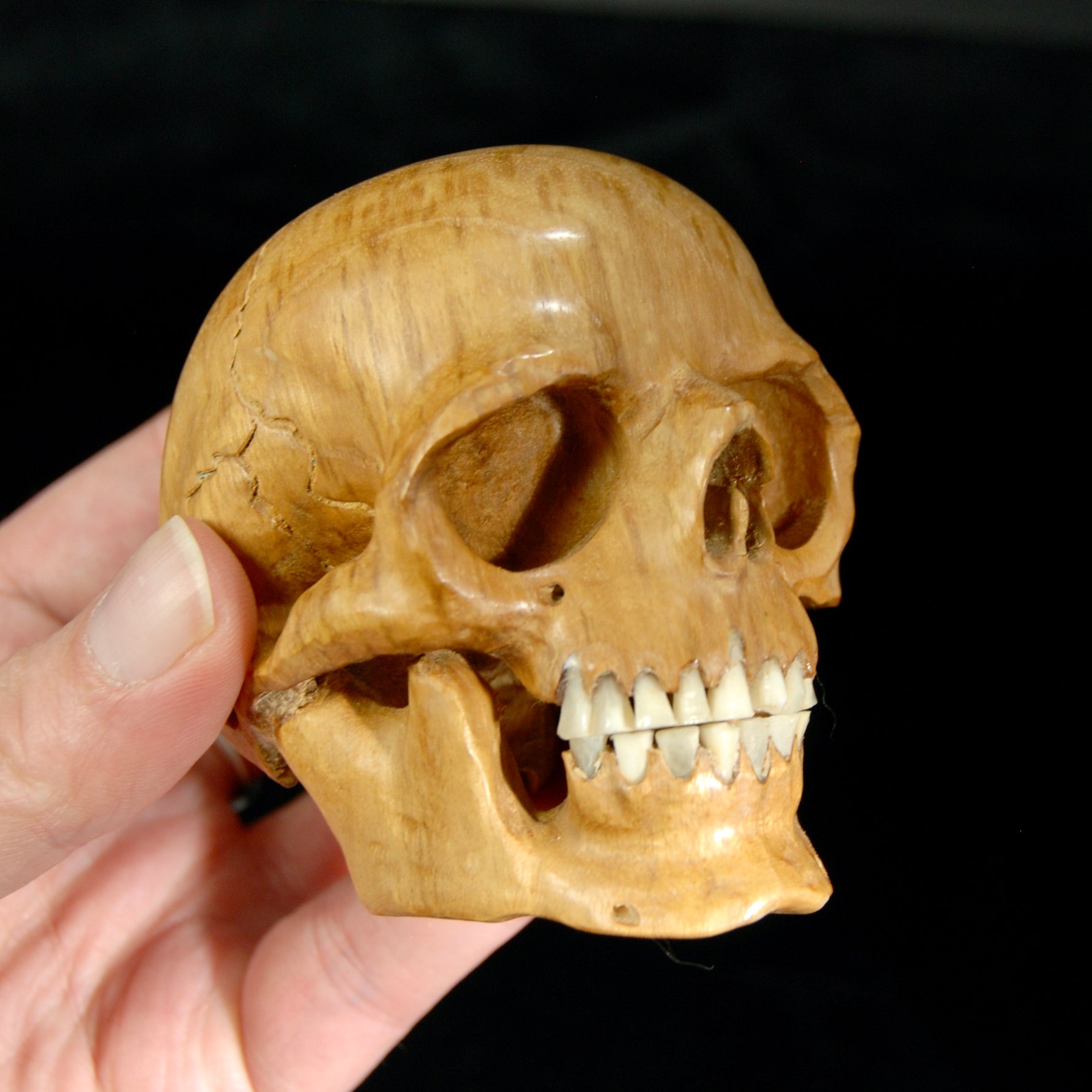 Master Carved Wood Skull with Ox Bone Teeth Realistic