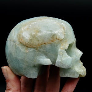 1.5lb 4in Genuine Aquamarine Carved Crystal Skull, Realistic Gemstone Carving