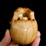 Master Carved Wood Skull with Ox Bone Teeth Realistic