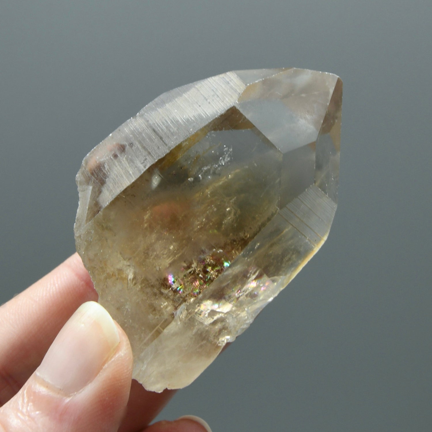 Grounding Smoky Lemurian Seed Quartz Crystal, Brazil