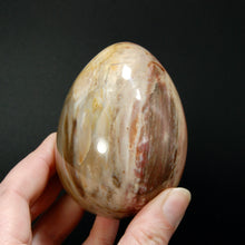 Load image into Gallery viewer, Colorful Petrified Wood Egg, Madagascar

