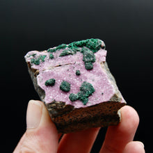 Load image into Gallery viewer, Cobaltoan Calcite Malachite Crystal Cluster, Cobalto Calcite
