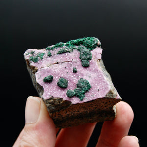 Cobaltoan Calcite Malachite Crystal Cluster, Cobalto Calcite