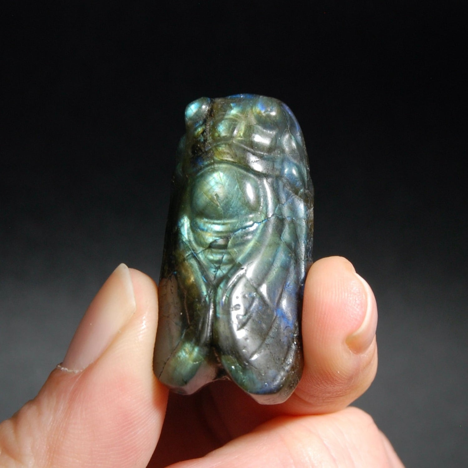 Labradorite Carved Crystal Cicada