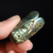 Load image into Gallery viewer, Labradorite Carved Crystal Cicada
