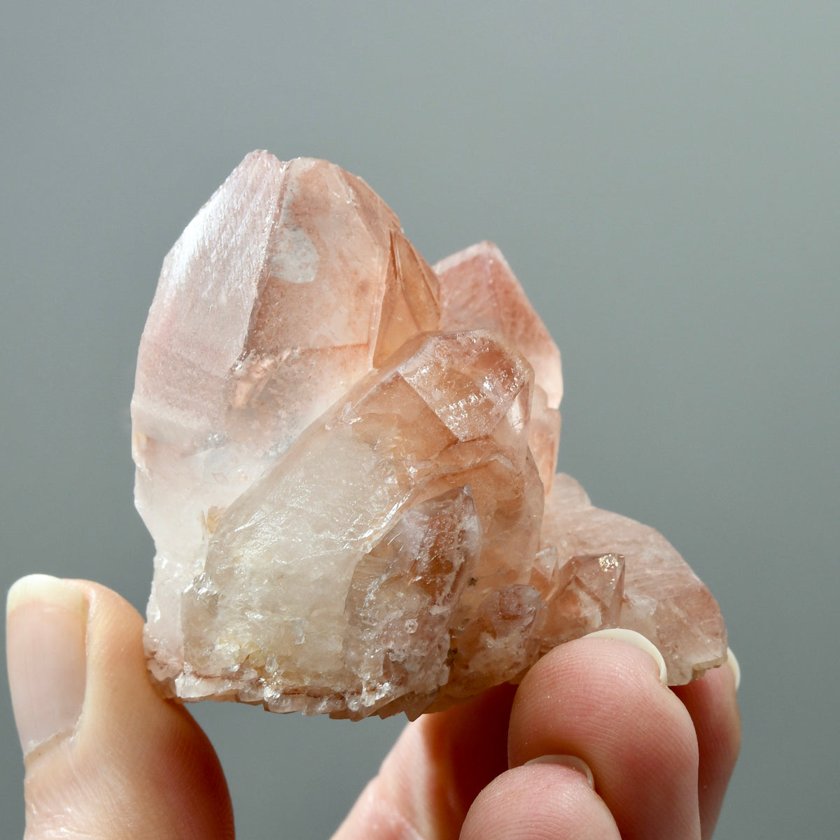 ET Strawberry Pink Scarlet Temple Lemurian Quartz Crystal Cluster, Serra do Cabral, Brazil