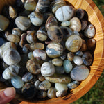 Blue Andean Opal Crystal Tumbled Stones, Peru