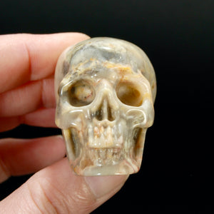 2in Laguna Lace Agate Crystal Skull, Realistic Carved Skull
