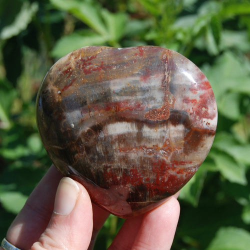 Petrified Wood Crystal Heart Shaped Palm Stone