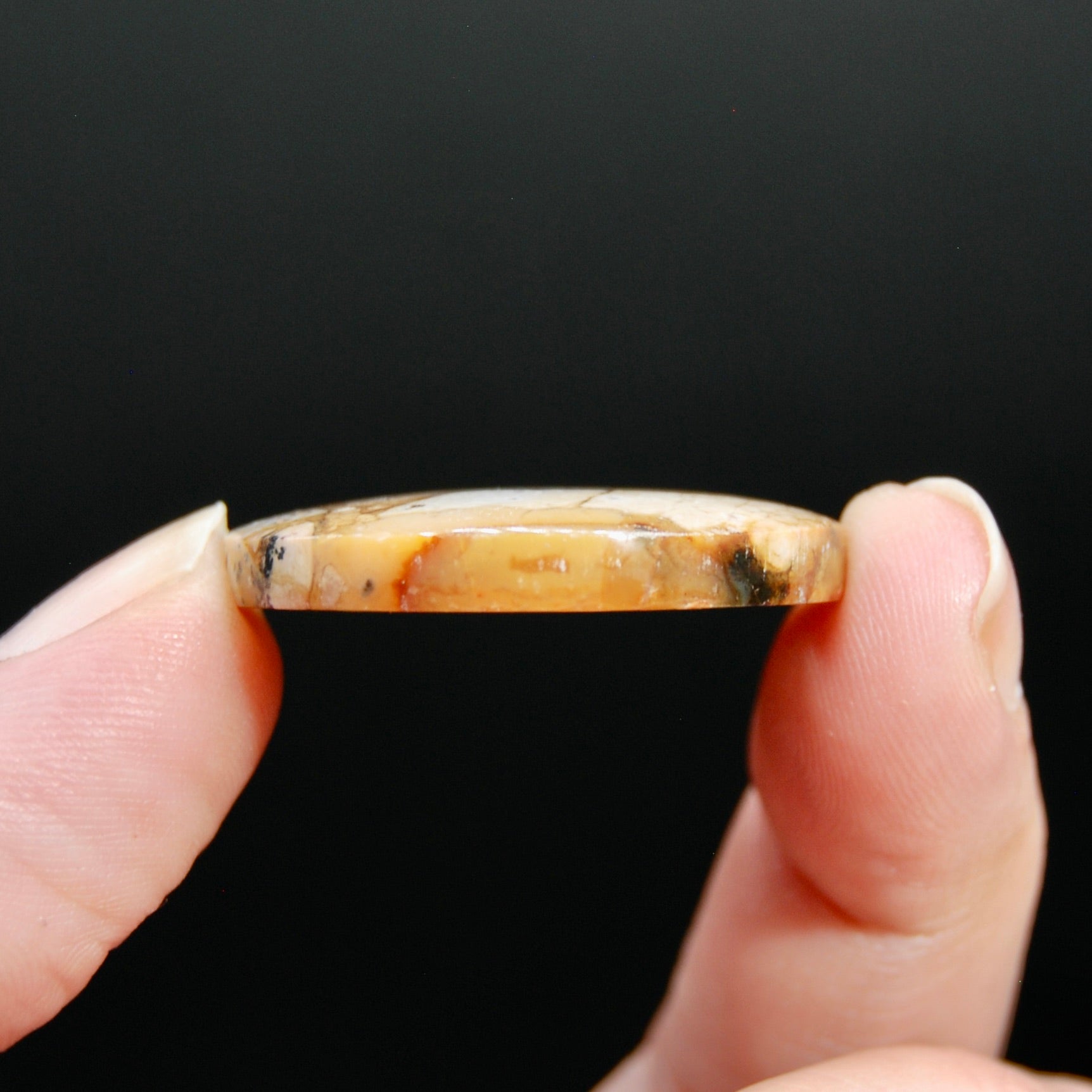 Scenic Picture Jasper Cabochon, Round Jasper Cab