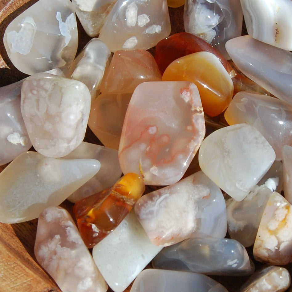6pcs Sakura Flower Agate Tumbled Stones