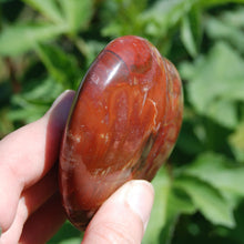 Load image into Gallery viewer, Petrified Wood Crystal Heart Shaped Palm Stone
