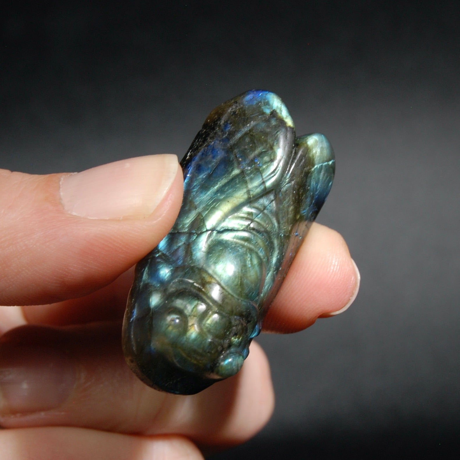 Labradorite Carved Crystal Cicada