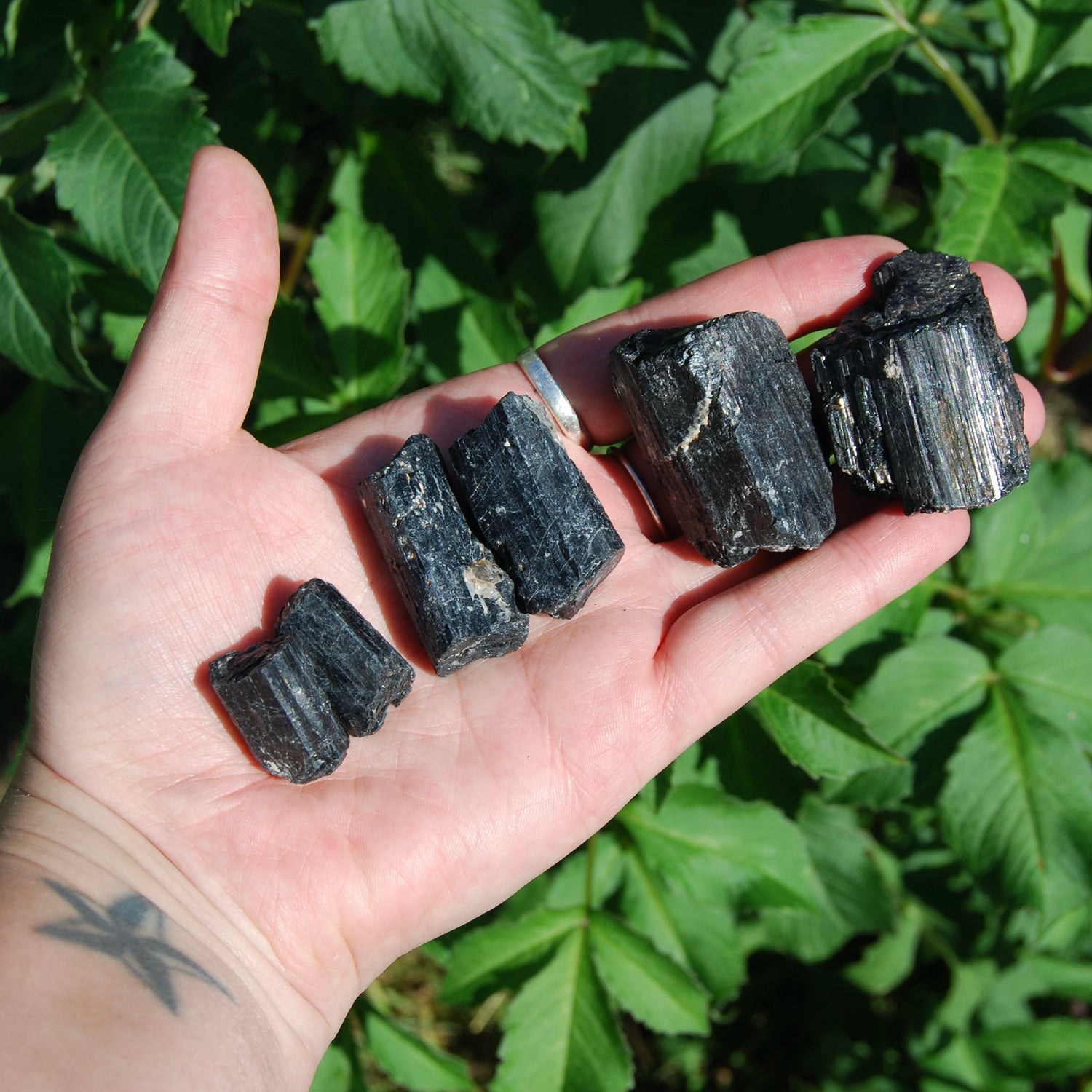 Raw Black Tourmaline Crystals, Brazil