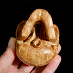 Master Carved Wood Skull with Ox Bone Teeth Realistic