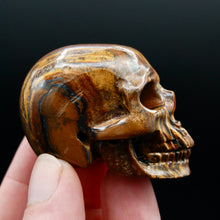 Load image into Gallery viewer, Tiger&#39;s Iron Carved Crystal Skull
