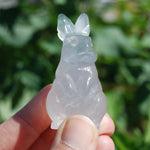 Yttrium Fluorite Carved Crystal Rabbit