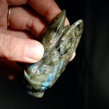 Load image into Gallery viewer, Large Labradorite Carved Crystal Cicada
