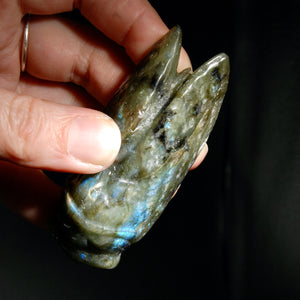 Large Labradorite Carved Crystal Cicada