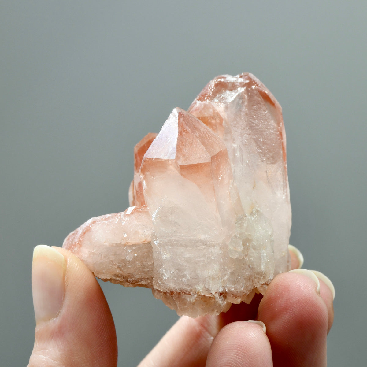 ET Strawberry Pink Scarlet Temple Lemurian Quartz Crystal Cluster, Serra do Cabral, Brazil