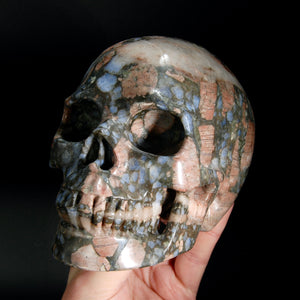 Blue Opal Llanite Carved Crystal Skull, Realistic Que Sera Crystal Skull Carving