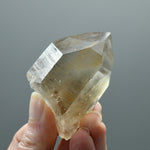 Grounding Smoky Lemurian Seed Quartz Crystal, Brazil