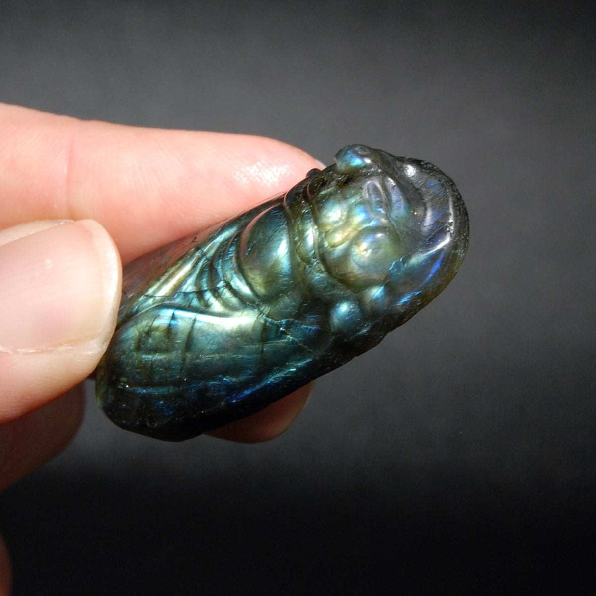 Labradorite Carved Crystal Cicada