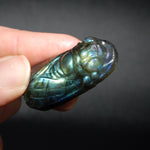 Labradorite Carved Crystal Cicada