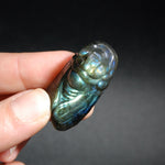 Labradorite Carved Crystal Cicada