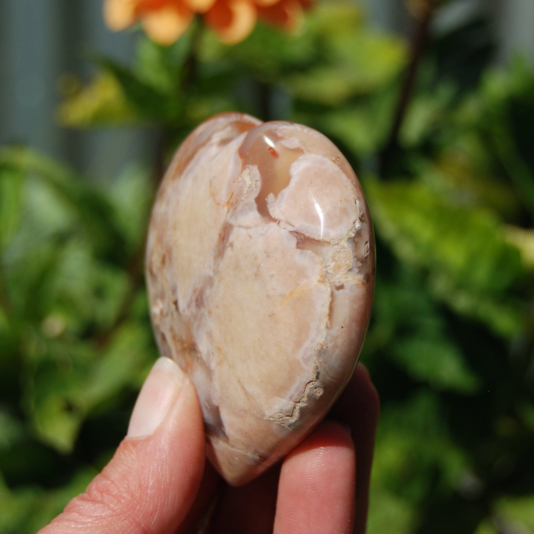 Flower Agate Heart Shaped Palm Stone, Sakura Agate Crystal 