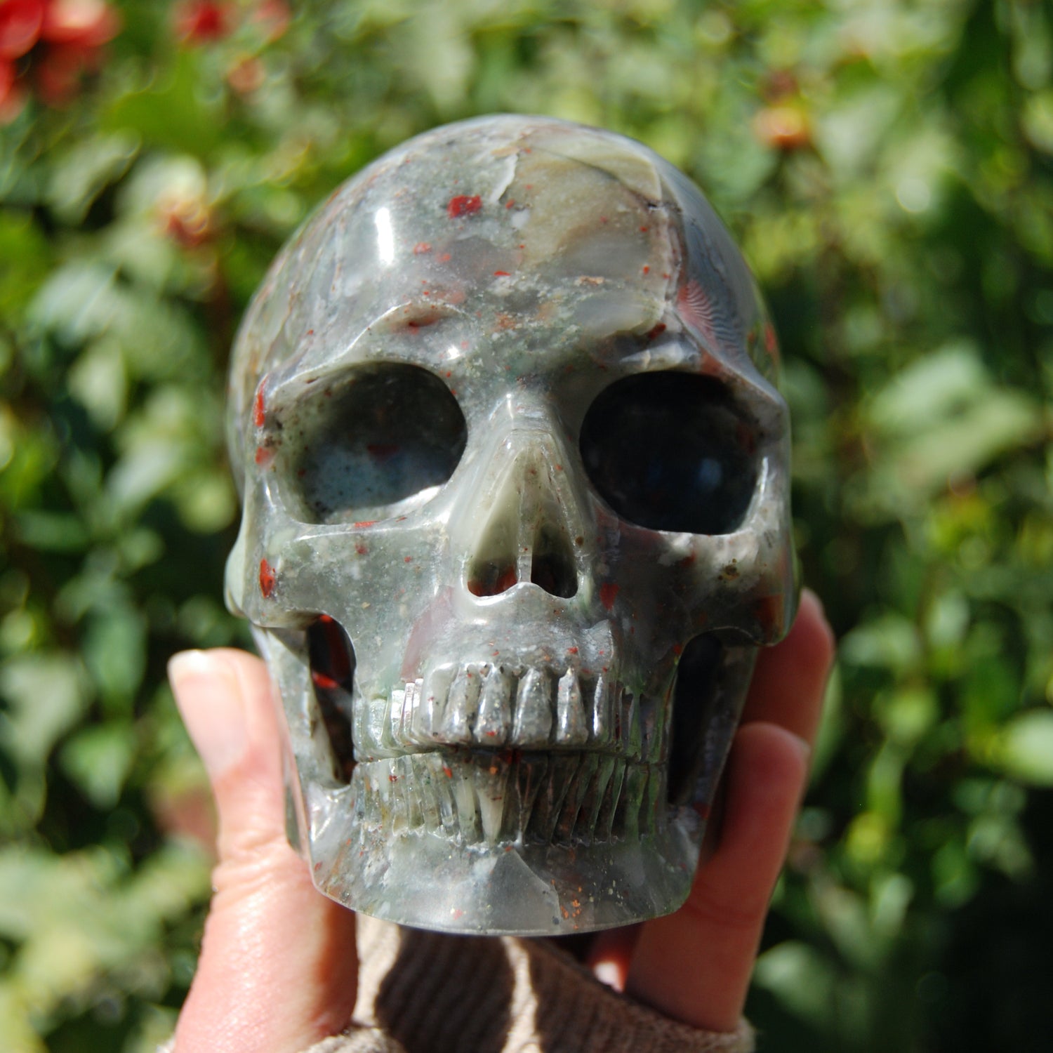African Bloodstone Crystal Skull 