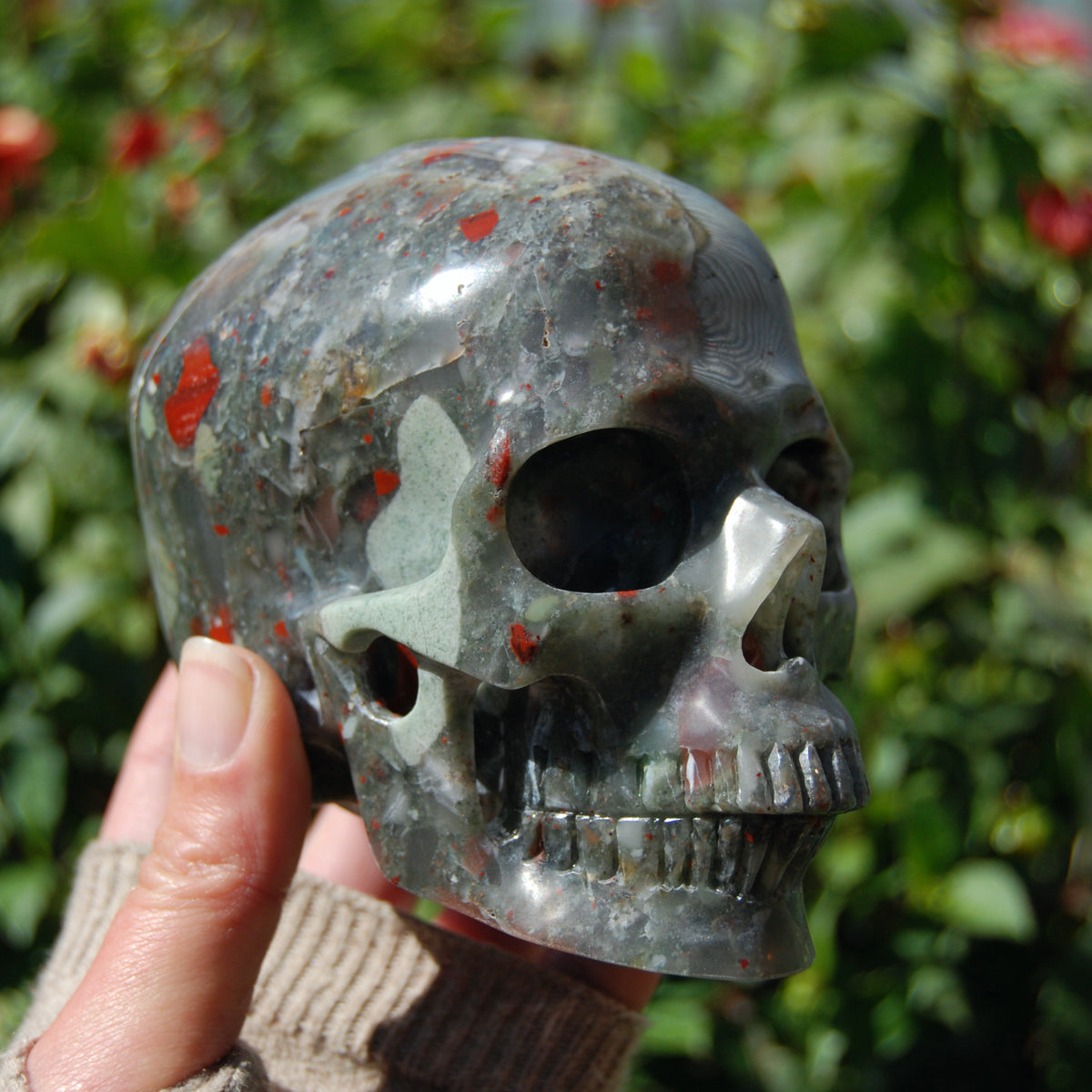 African Bloodstone Crystal Skull 