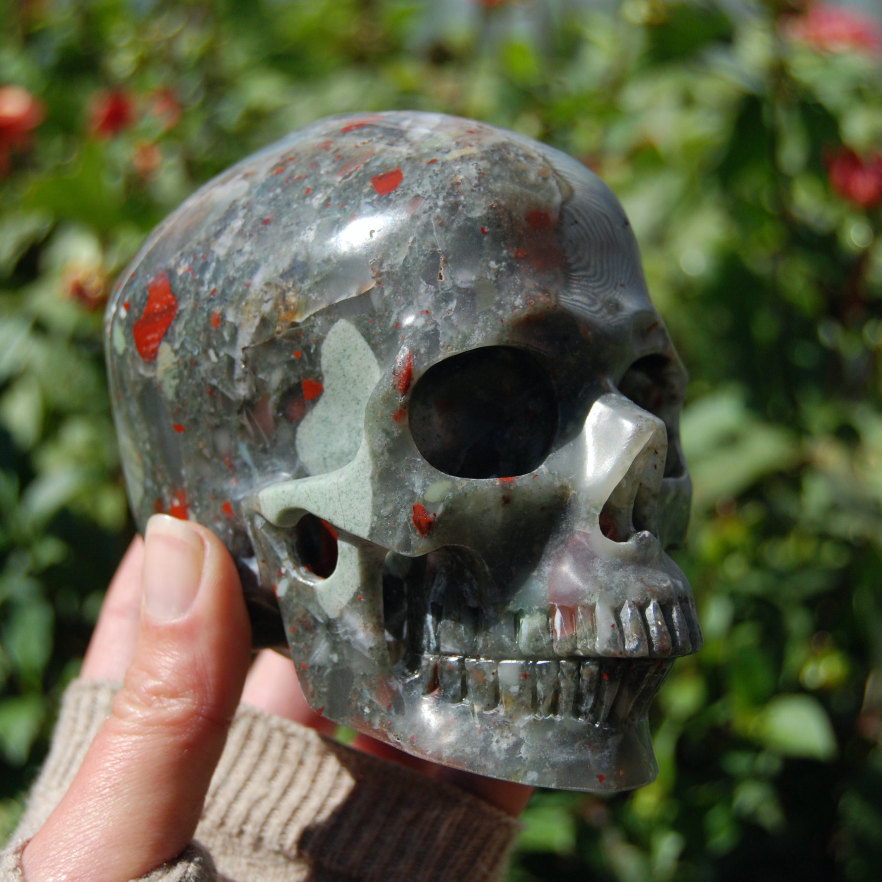 African Bloodstone Crystal Skull 