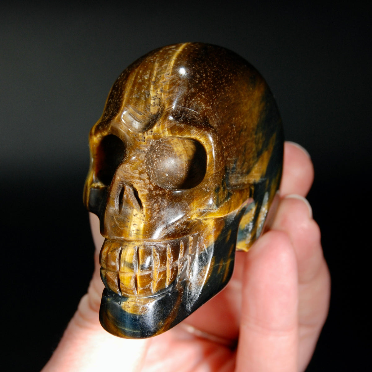 Blue Tiger's Eye Carved Crystal Skull