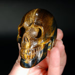 Blue Tiger's Eye Carved Crystal Skull