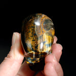 Blue Tiger's Eye Carved Crystal Skull