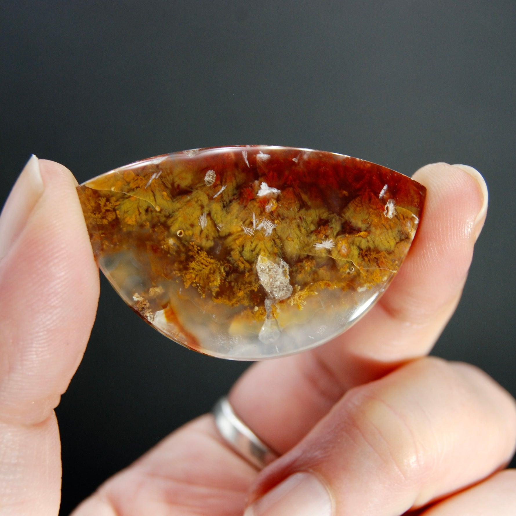 Sagenite Plume Agate Cabochon