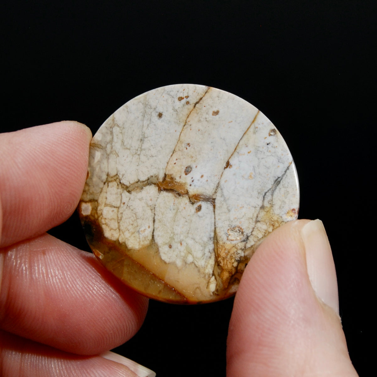 Scenic Picture Jasper Cabochon, Round Jasper Cab
