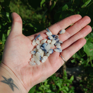 Blue Dumortierite in Quartz Crystal Tumbled Stones