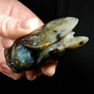 Large Labradorite Carved Crystal Cicada