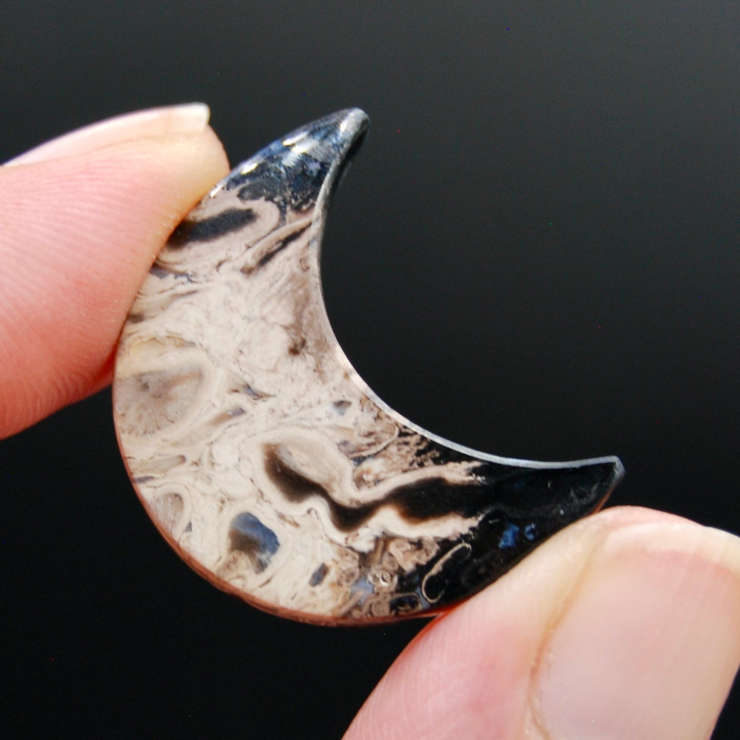 Fossilized Palm Root Crescent Moon Cabochon
