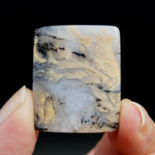 Load image into Gallery viewer, Dendritic Graveyard Plume Agate Cabochon
