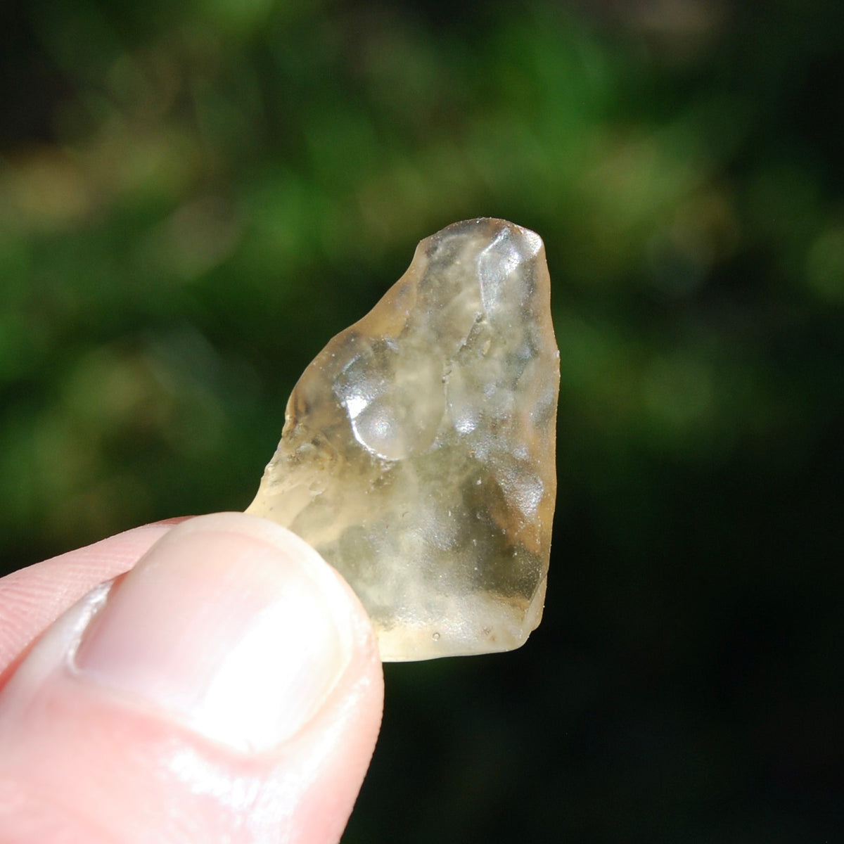 Genuine Libyan Desert Glass Specimen, Libyan Gold Tektite
