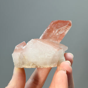Tantric Twin Channeler Strawberry Pink Scarlet Temple Lemurian Quartz Crystal Cluster Dreamsicle, Serra do Cabral, Brazil