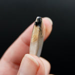 Graveyard Plume Agate Cabochon