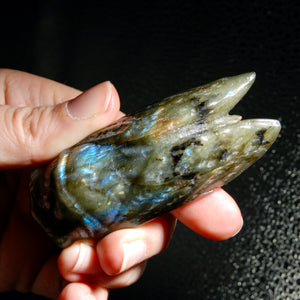 Large Labradorite Carved Crystal Cicada