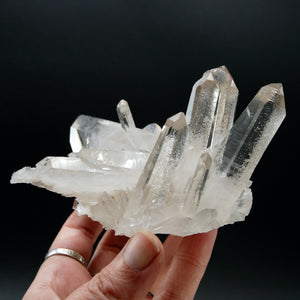 STUNNING Starburst Lemurian Silver Quartz Crystal Starbrary Cluster, Isis Face Channeler Record Keepers Optical Corinto Quartz, Brazil