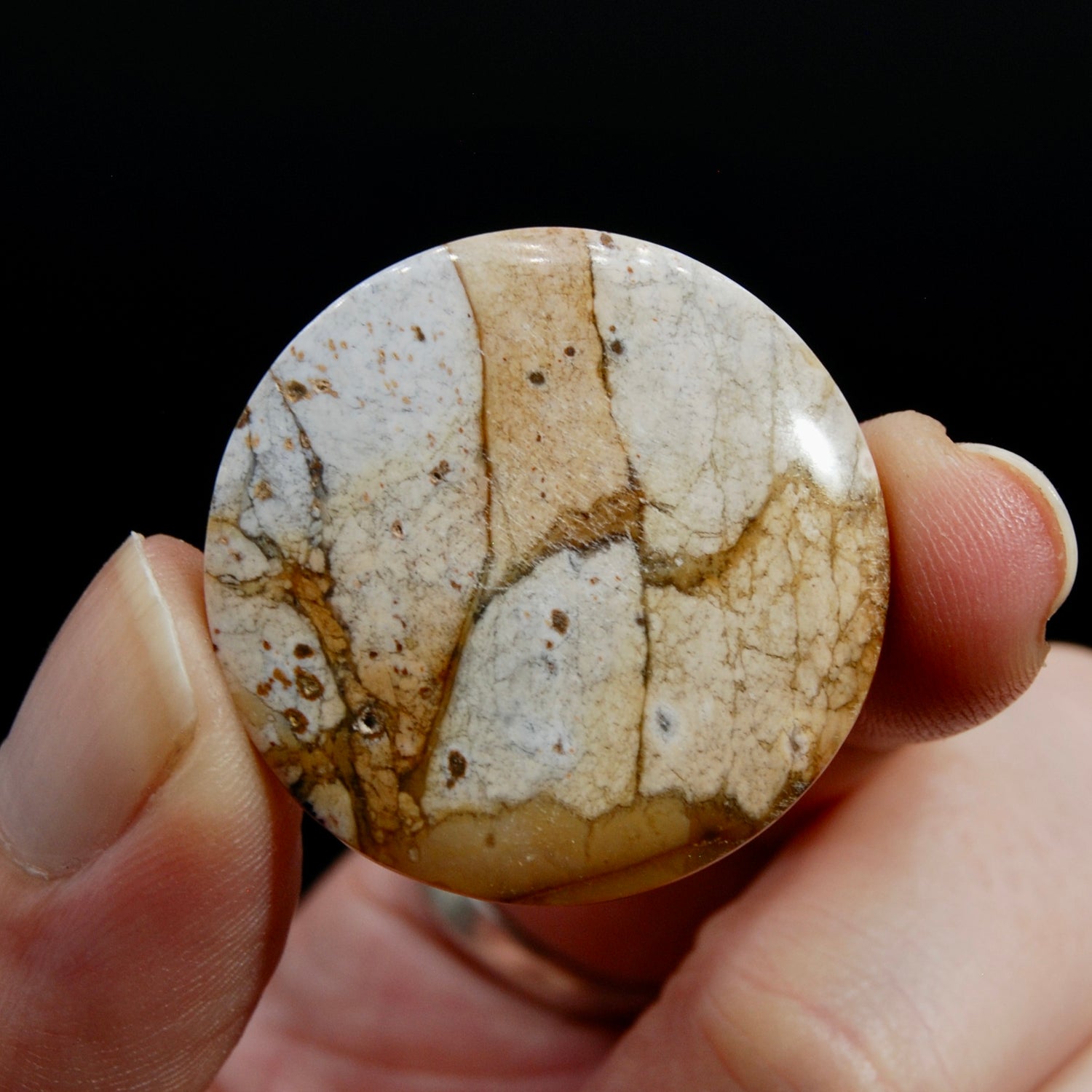Scenic Picture Jasper Cabochon, Round Jasper Cab