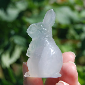 Yttrium Fluorite Carved Crystal Rabbit